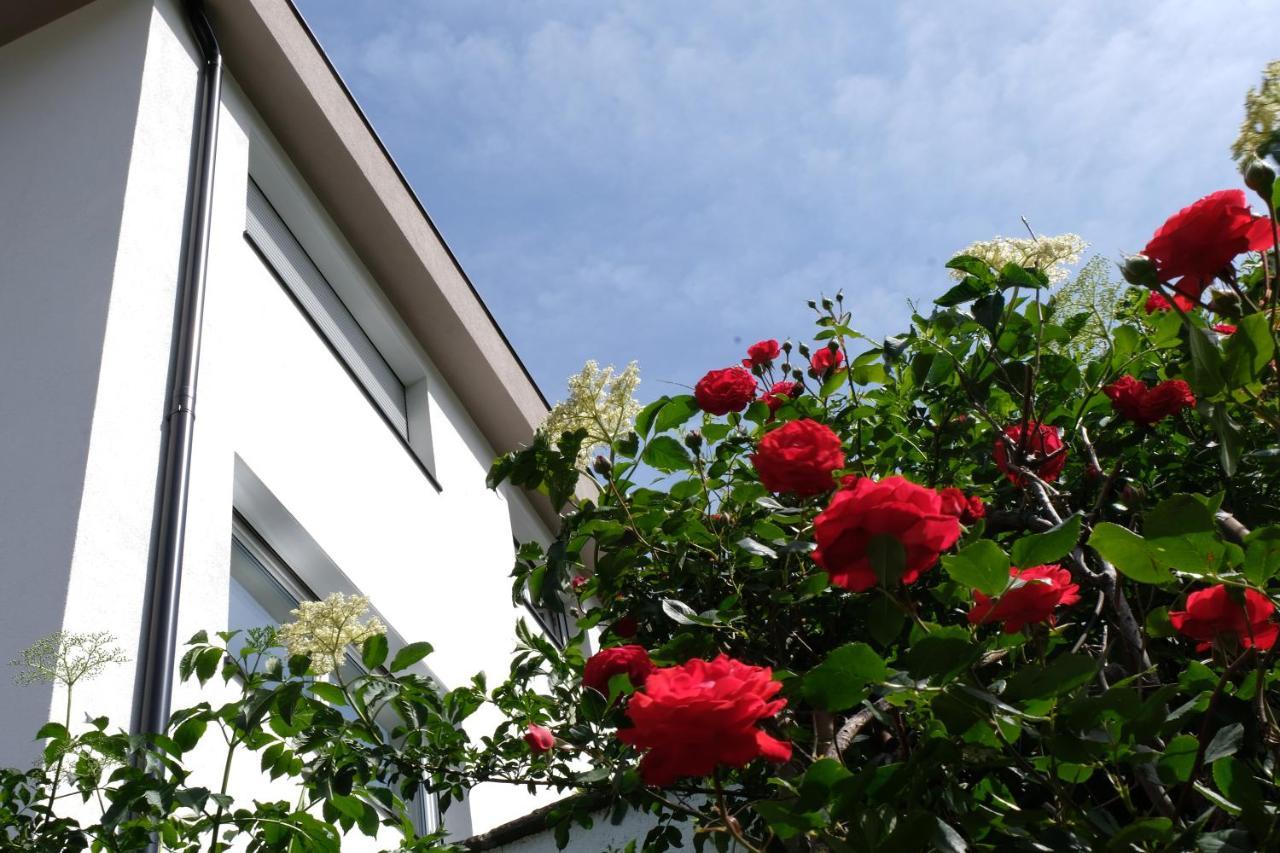Apartment Le rose di Marianne - sud Vahrn Extérieur photo